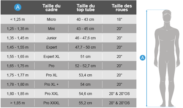 Guide taille